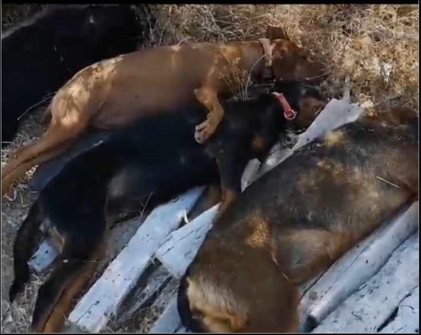 Screenshot 2024-09-26 214245