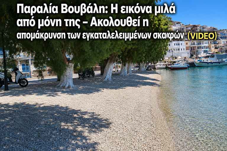 70aab1fb-02c3-4b12-a83f-7afcefcea10b_11zon