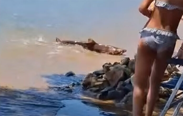 leros