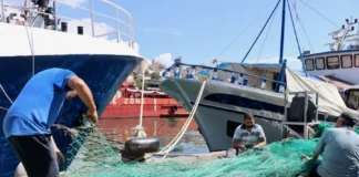 Κραυγή αγωνίας από τους ψαράδες της Καλύμνου: «Τα καΐκια μας μετατρέπονται σε σκάφη διάσωσης»