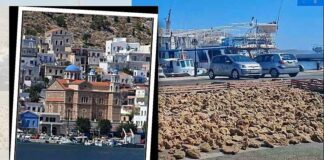 Το “λιάσιμο” των σφουγγαριών – Η Κάλυμνος που κρατα ζωντανη την παραδοση με τη Σχολή Δυτών όμως κλειστή (VIDEO)