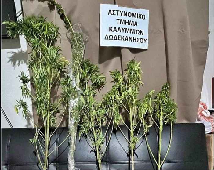 κανναβη