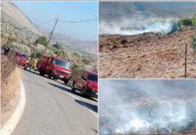 Φωτιά στην Αγία Παρασκευή στο Βαθύ – Άμεση κινητοποίηση και κατάσβεση
