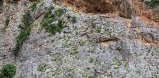 Συνεργασία Δήμου και UIAA για την ασφάλεια των αναρριχητικών διαδρομών στην Κάλυμνο